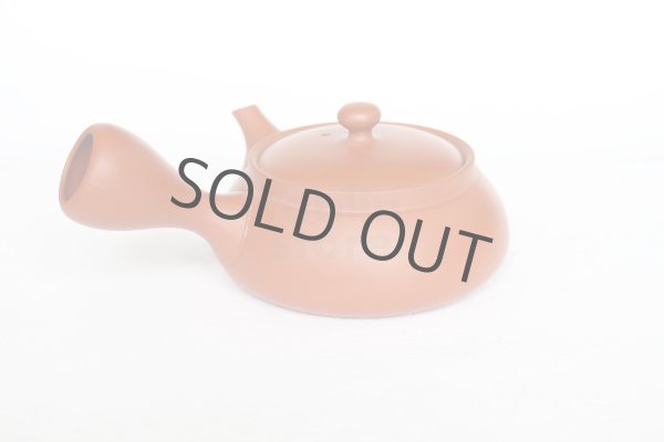 Photo1: Tokoname tea pot kyusu Jinsui Kiwami shudei red biku flat shape small 120ml (1)