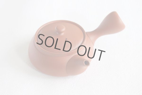 Photo2: Tokoname tea pot kyusu Jinsui Kiwami shudei red biku flat shape small 120ml (2)