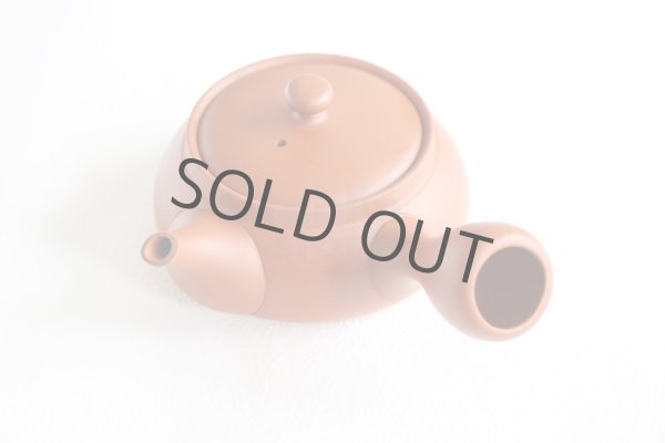 Photo3: Tokoname tea pot kyusu Jinsui Kiwami shudei red biku flat shape small 120ml (3)