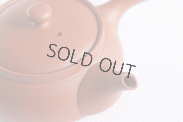 Photo4: Tokoname tea pot kyusu Jinsui Kiwami shudei red biku flat shape small 120ml (4)