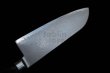 Photo5: SAKAI TAKAYUKI Japanese knife Damascus 63-layers speciel alloy core any type (5)