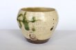 Photo6: Shigaraki pottery Japanese matcha tea bowl chawan ippuku green midori (6)