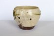 Photo7: Shigaraki pottery Japanese matcha tea bowl chawan ippuku green midori (7)