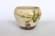 Photo1: Shigaraki pottery Japanese matcha tea bowl chawan ippuku green midori (1)