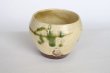 Photo9: Shigaraki pottery Japanese matcha tea bowl chawan ippuku green midori (9)