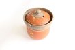 Photo3: Tokoname ware Japanese tea pot tosei dragonfly cover ceramic tea strainer 150ml (3)
