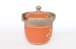 Photo7: Tokoname ware Japanese tea pot tosei dragonfly cover ceramic tea strainer 150ml (7)