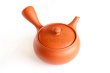 Photo1: Tokoname tea pot kyusu Jinsui Kiwami shudei red fuku hira 270ml (1)