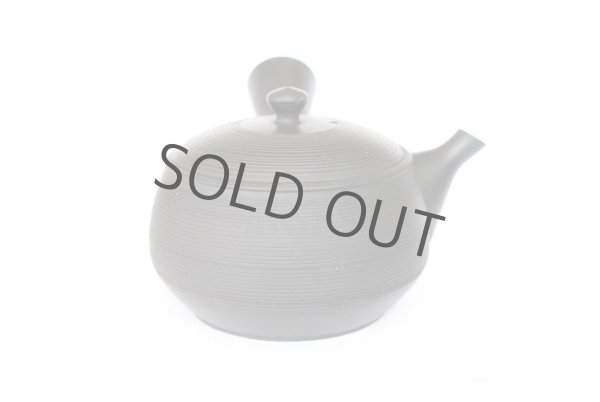 Photo3: Tokoname YT ware Japanese tea pot Gyokko ceramic tea strainer black syudei 300ml (3)