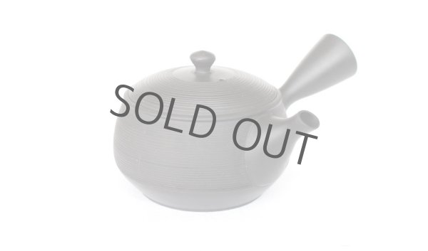 Photo1: Tokoname YT ware Japanese tea pot Gyokko ceramic tea strainer black syudei 300ml (1)