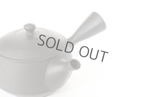 Photo4: Tokoname YT ware Japanese tea pot Gyokko ceramic tea strainer black syudei 300ml (4)