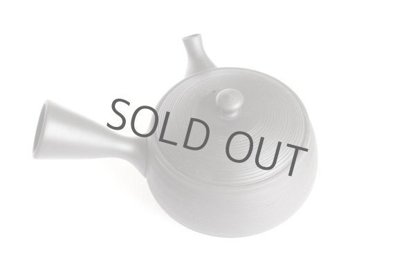 Photo5: Tokoname YT ware Japanese tea pot Gyokko ceramic tea strainer black syudei 300ml (5)