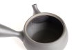Photo6: Tokoname YT ware Japanese tea pot Gyokko ceramic tea strainer black syudei 300ml (6)