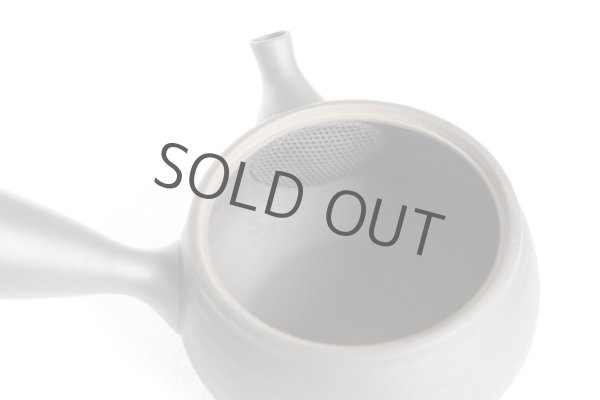 Photo6: Tokoname YT ware Japanese tea pot Gyokko ceramic tea strainer black syudei 300ml (6)