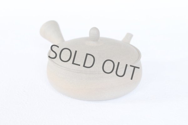 Photo4: Tokoname 2H Japanese tea pot Gyokko pottery tea strainer flat shape yakishime 170ml (4)