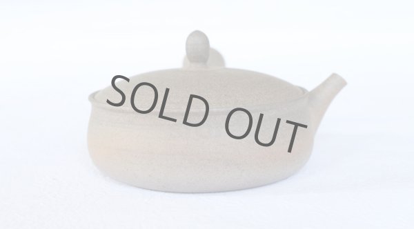 Photo3: Tokoname 2H Japanese tea pot Gyokko pottery tea strainer flat shape yakishime 170ml (3)
