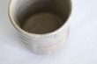 Photo13: Hagi Senryuzan climbing kiln Japanese pottery tumbler shochu kakebu san set of 2 (13)