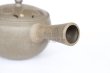 Photo3: Tokoname pottery YT Japanese tea pot kyusu yakishime Yutaka karakusa 300ml (3)