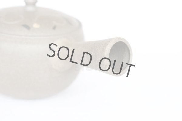 Photo3: Tokoname pottery YT Japanese tea pot kyusu yakishime Yutaka karakusa 300ml (3)