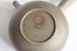 Photo6: Tokoname pottery YT Japanese tea pot kyusu yakishime Yutaka karakusa 300ml (6)