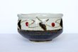 Photo3: Mino ware Japanese pottery matcha chawan tea bowl toga tatsusa kara (3)