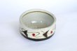 Photo4: Mino ware Japanese pottery matcha chawan tea bowl toga tatsusa kara (4)