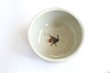 Photo6: Mino ware Japanese pottery matcha chawan tea bowl toga tatsusa kara (6)