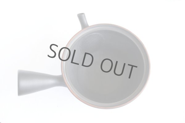 Photo6: Tokoname YT Japanese tea pot kyusu Gyokko line black 300ml (6)