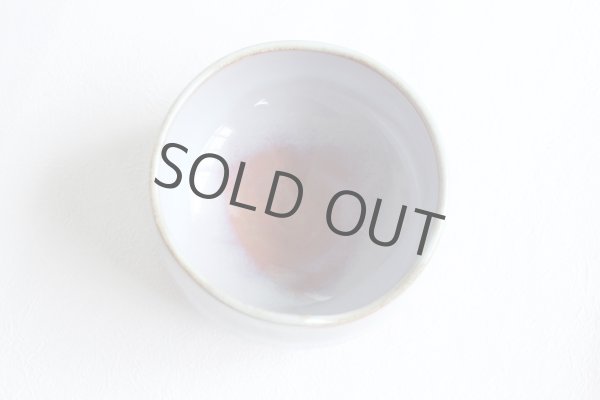 Photo4: Mino ware pottery Japanese tea ceremony bowl Matcha chawan hagigesho miyabi (4)