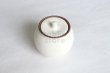 Photo9: Shigaraki pottery salt sugar storage container box 190ml (9)