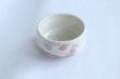 Photo2: Mino ware Japanese pottery tea ceremony bowl Matcha chawan sakura sho noten (2)