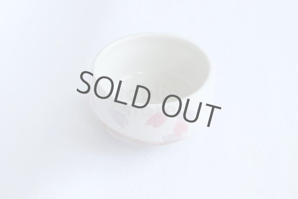 Photo2: Mino ware Japanese pottery tea ceremony bowl Matcha chawan sakura sho noten (2)