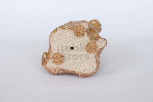 Photo8: Shiba inu dog Shigaraki pottery Japanese doll mame H7cm (8)