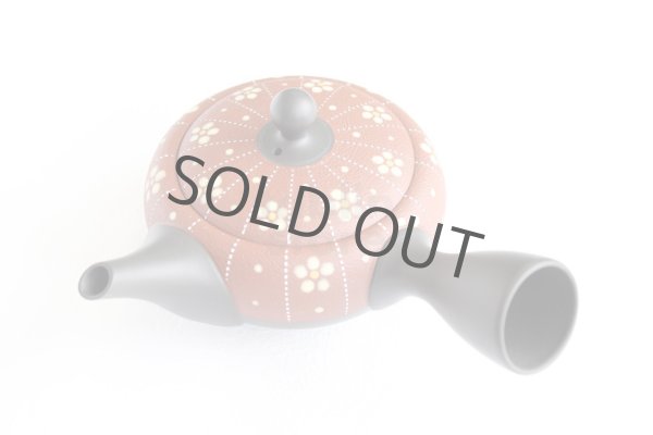 Photo9: Tokoname Japanese tea pot kyusu YT Shohou shu-red white plum 260ml (9)