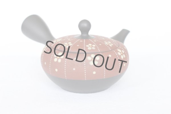 Photo5: Tokoname Japanese tea pot kyusu YT Shohou shu-red white plum 260ml (5)
