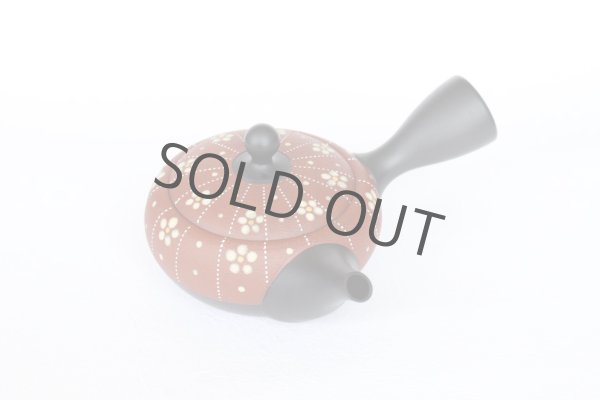 Photo3: Tokoname Japanese tea pot kyusu YT Shohou shu-red white plum 260ml (3)