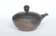 Photo4: Tokoname tea pot kyusu Gyokko pottery tea strainer YT yohen suji-line 110ml (4)
