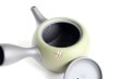 Photo4: Tokoname Japanese tea pot kyusu YT Shohou needle green 320ml (4)
