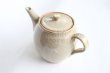 Photo10: Shigaraki pottery Japanese tea pot white glaze with stainless tea strainer (10)