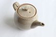 Photo6: Shigaraki pottery Japanese tea pot white glaze with stainless tea strainer (6)