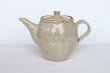 Photo5: Shigaraki pottery Japanese tea pot white glaze with stainless tea strainer (5)