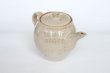 Photo4: Shigaraki pottery Japanese tea pot white glaze with stainless tea strainer (4)
