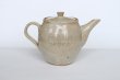 Photo3: Shigaraki pottery Japanese tea pot white glaze with stainless tea strainer (3)