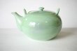 Photo4: Arita Porcelain sd Dobin Japanese tea pot sagano light green 650ml  (4)