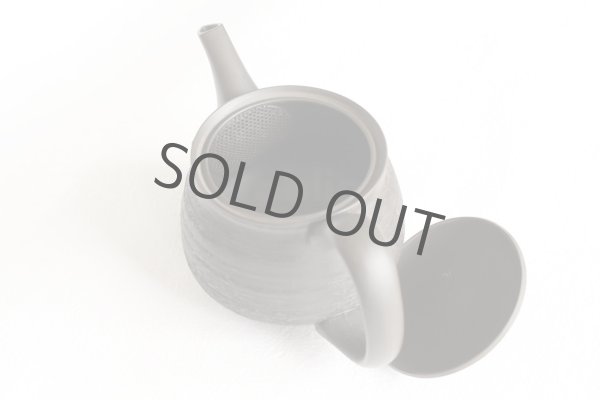 Photo7:  Tokoname Japanese tea pot Hokuryu ceramic tea strainer sendan black 280ml (7)