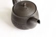 Photo5:  Tokoname Japanese tea pot Hokuryu ceramic tea strainer sendan black 280ml (5)