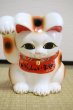 Photo10: Japanese Lucky Cat Tokoname YT Porcelain Maneki Neko bowing Right hand H25cm (10)