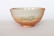 Photo6: Shigaraki pottery Japanese matcha tea ceremony bowl Matsusho hoiro (6)