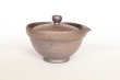 Photo3: Shigaraki pottery Japanese tea pot kyusu Hohin shiboridashi ginryo kai 120ml (3)
