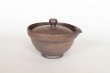 Photo2: Shigaraki pottery Japanese tea pot kyusu Hohin shiboridashi ginryo kai 120ml (2)